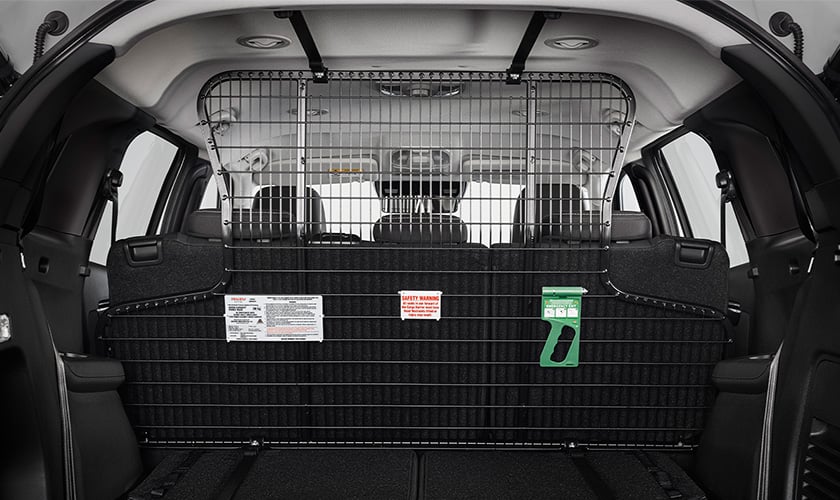 D-MAX